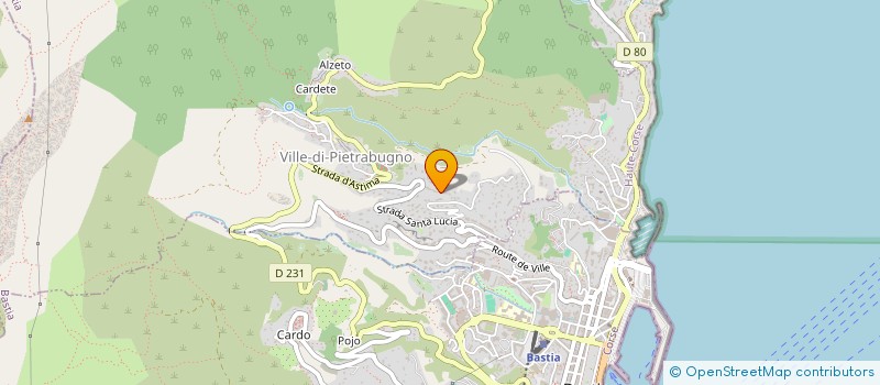 localisation de l'entreprise SOCIETE CIVILE IMMOBILIERE IMMEUBLE NAPOLEON à VILLE-DI-PIETRABUGNO