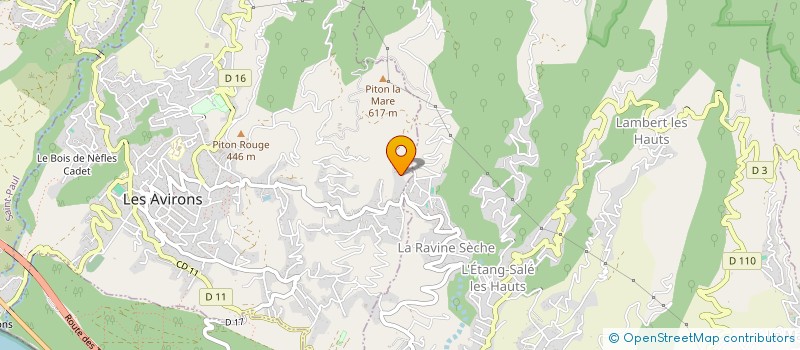 localisation de l'entreprise SOCIETE CIVILE IMMOBILIERE LES INSEPARABLES  LES AVIRONS