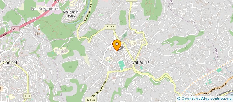 localisation de l'entreprise SOCIETE CIVILE IMMOBLIERE KASABEL à VALLAURIS