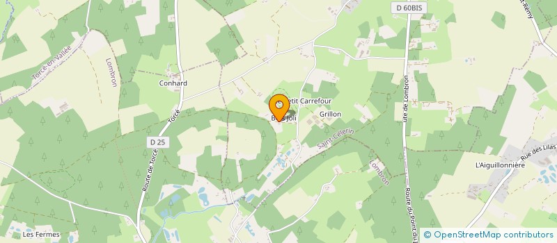 localisation de l'entreprise SOCIETE CIVILE LE CHAMP DU BOIS  SAINT-CELERIN