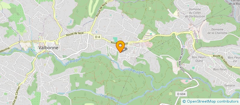 localisation de l'entreprise SOCIETE CIVILE PARTICULIERE LES OLIVIERS  VALBONNE