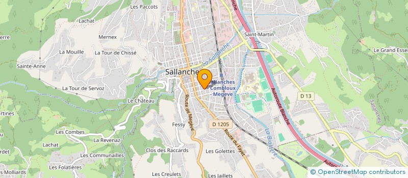 localisation de l'entreprise SOCIETE CIVILE PERCE NEIGE à SALLANCHES