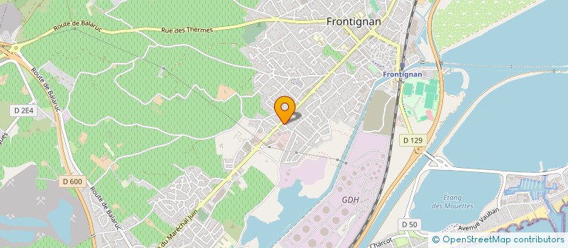 localisation de l'entreprise SOCIETE CIVILE PROFESSIONNELLE DE VETERINAIRES DERUAZ-FORESTIER-RICHIARDI à FRONTIGNAN
