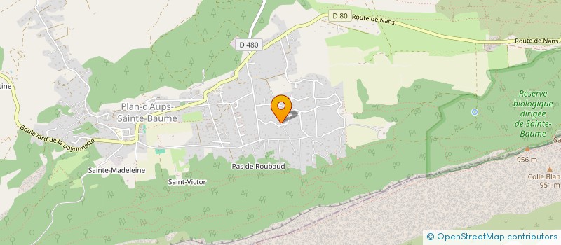 localisation de l'entreprise SOCIETE CIVILE S 2 L  PLAN-D'AUPS-SAINTE-BAUME