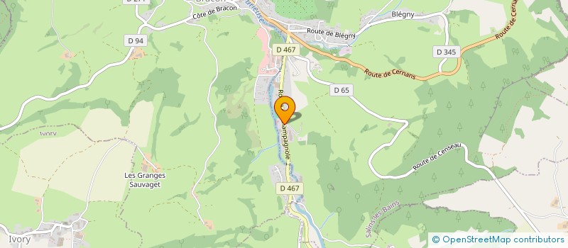 localisation de l'entreprise SOCIETE CIVILE SCI DES MONTS DU JURA  SALINS-LES-BAINS