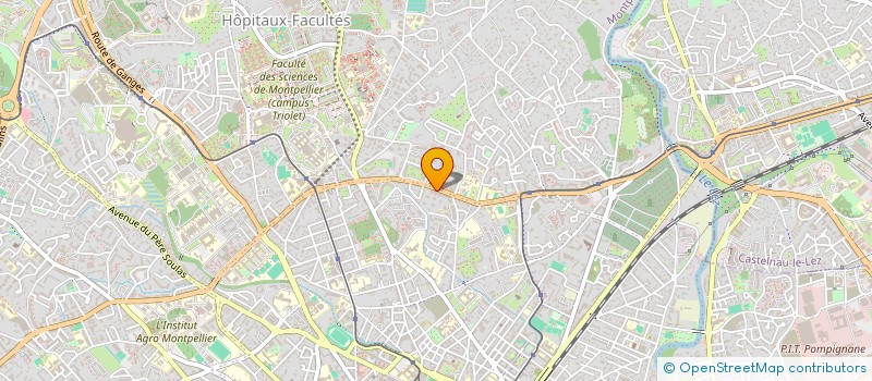 localisation de l'entreprise SOCIETE D'ANALYSE D'ORGANISATION ET DE RECHERCHE SUR LES IMMATERIELS à MONTPELLIER