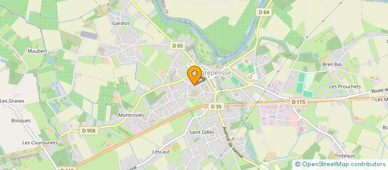 localisation de l'entreprise SOCIETE D'EXERCICE LIBERAL A RESPONSABILITE LIMITEE DE PHARMACIENS D'OFFICINE - PHARMACIE RIGAUD - SELARL PHARMACIE RIGA  NEGREPELISSE