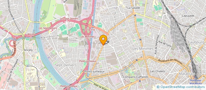 localisation de l'entreprise SOCIETE D'EXPERTISE COMPTABLE ET D'AUDIT FINANCIER ALTINEA  TOULOUSE