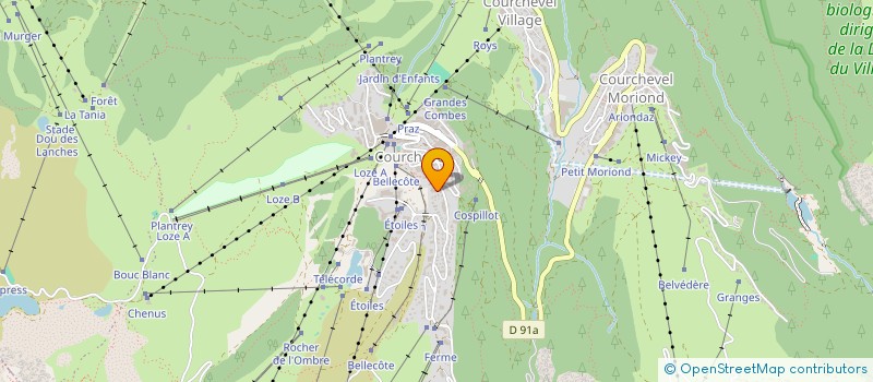 localisation de l'entreprise SOCIETE D'EXPLOITATION DE L'HOTEL DES NEIGES à COURCHEVEL