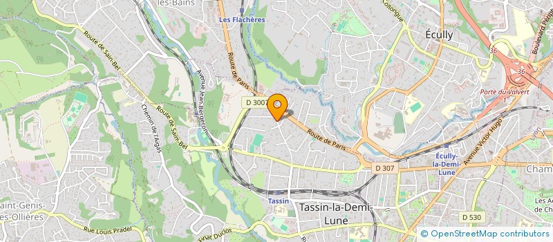 localisation de l'entreprise SOCIETE D'EXPLOITATION DES ETS GOUX à TASSIN-LA-DEMI-LUNE