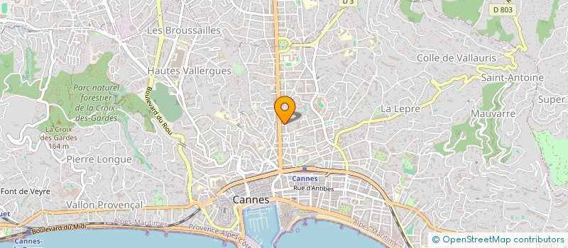 localisation de l'entreprise SOCIETE D'INVESTISSEMENT HOTELIER ET TOURISTIQUE à CANNES