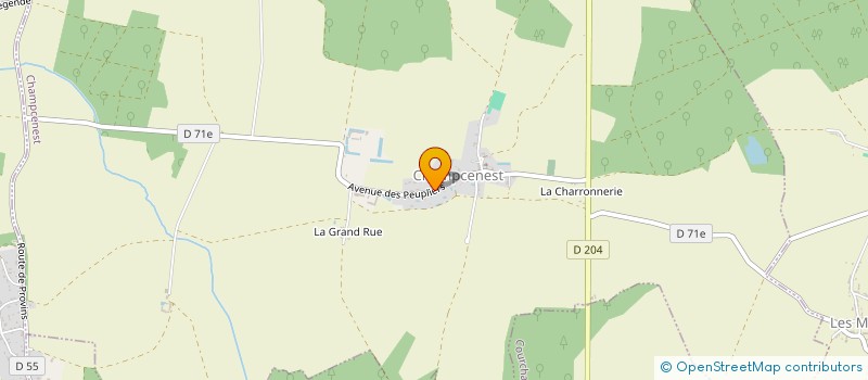 localisation de l'entreprise SOCIETE DE CHASSE DU BOIS BUISSON  CHAMPCENEST
