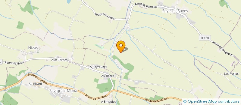 localisation de l'entreprise SOCIETE DE CHASSE LE FUSIL LABASTIDIEN  LABASTIDE-SAVES