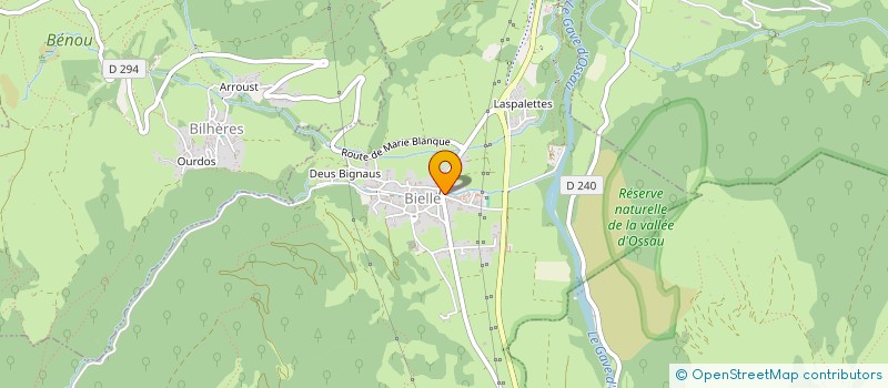 localisation de l'entreprise SOCIETE DE CHASSE SAINT HUBERT DE BIELLE ET DE BILHERES  BIELLE