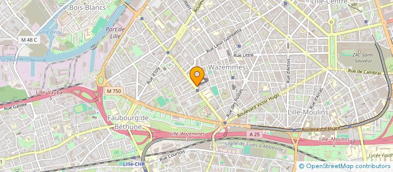 localisation de l'entreprise SOCIETE DE COMMERCE ET DE SERVICES à LILLE