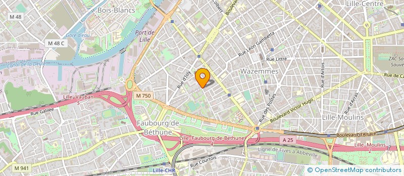 localisation de l'entreprise SOCIETE DE FAIT COLIN ET DELREUX à LILLE