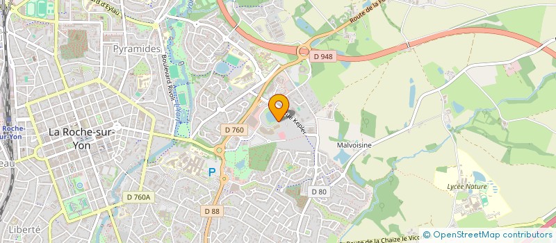 localisation de l'entreprise SOCIETE DE NEPHROLOGIE DE L OUEST à ROCHE SUR YON (LA)