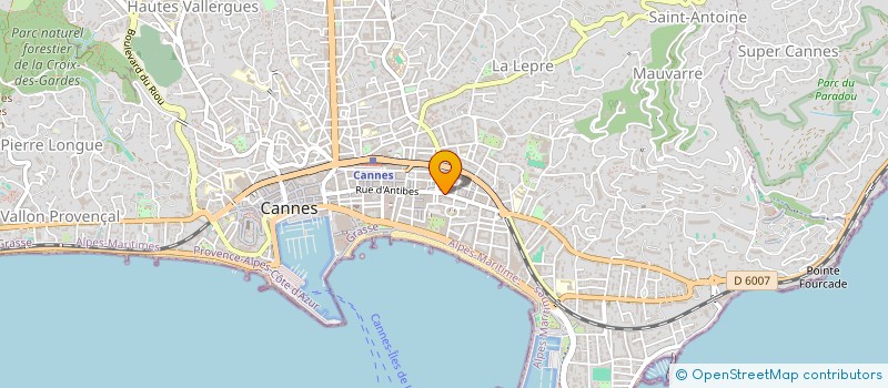 localisation de l'entreprise SOCIETE DE PARTICIPATIONS FINANCIERES DE PROFESSIONS LIBERALES DE CHIRURGIENS-DENTISTES SPFPL DR HAYAT STEVEN  CANNES