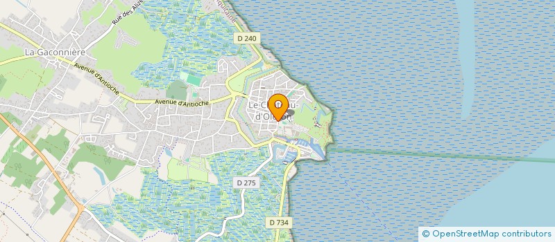 localisation de l'entreprise SOCIETE DE PROTECTION DES PAYSAGES DE L'ILE D'OLERON  LE CHATEAU D OLERON