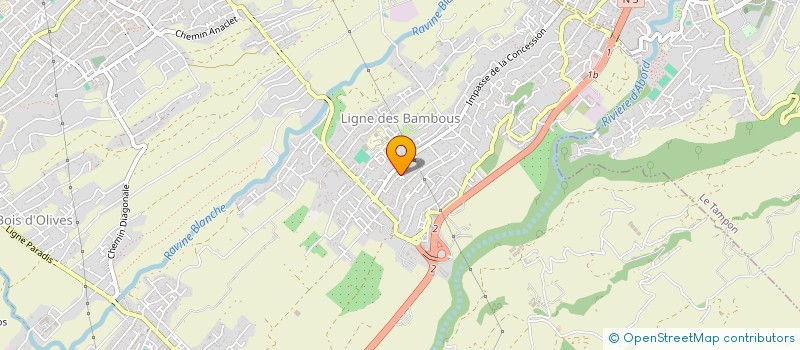localisation de l'entreprise SOCIETE DE SERVICES DES MASCAREIGNES à SAINT-DENIS