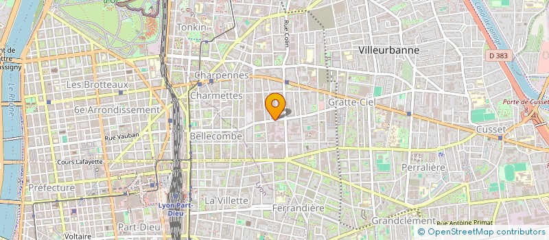 localisation de l'entreprise SOCIETE DELDO  VILLEURBANNE