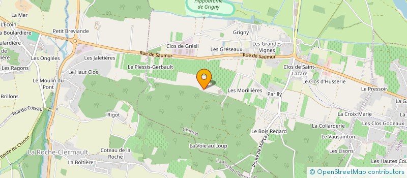 localisation de l'entreprise SOCIETE DU DOMAINE DE VAUGAUDRY  CHINON