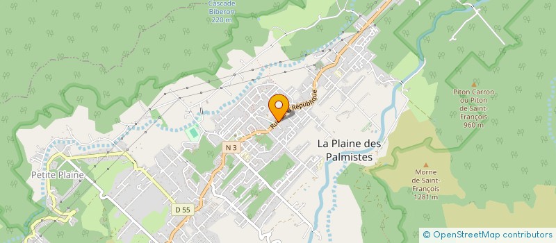 localisation de l'entreprise SOCIETE DUCHEMANN à LA PLAINE-DES-PALMISTES