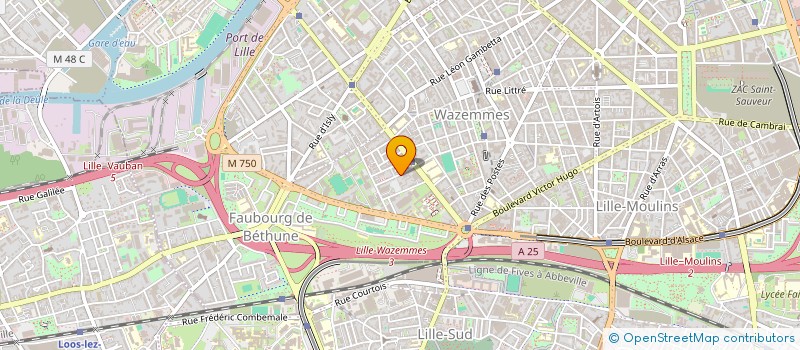 localisation de l'entreprise SOCIETE EUROPEENNE DES MATIERES PRECIEUSES ET D'OBJETS D'ART SAS SEMPOA à LILLE