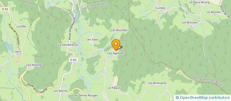 localisation de l'entreprise SOCIETE FORESTIERE BRIDAY DORIAN  SAINT-IGNY-DE-VERS