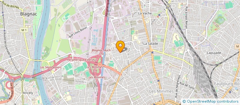 localisation de l'entreprise SOCIETE FRANCAISE DES PROFESSIONELS EN ACTIVITE PHYSIQUES ADAPTEES à TOULOUSE