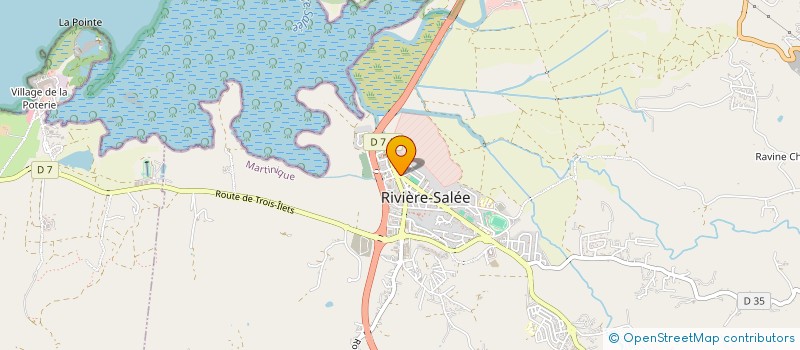 localisation de l'entreprise SOCIETE GENERALE DE DEVELOPPEMENT  RIVIERE SALEE