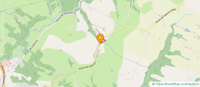 localisation de l'entreprise SOCIETE HOLDING FALGAS  ARTHES