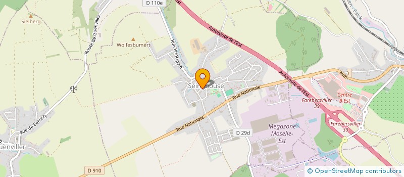 localisation de l'entreprise SOCIETE HORACE ET FILS  SEINGBOUSE