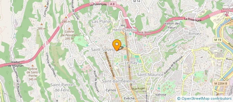 localisation de l'entreprise SOCIETE HORLOGERE DES ALPES-MARITIMES à NICE