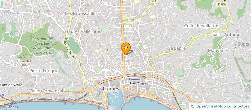 localisation de l'entreprise SOCIETE HOTELIERE DE MOUGINS BELVEDERE  CANNES