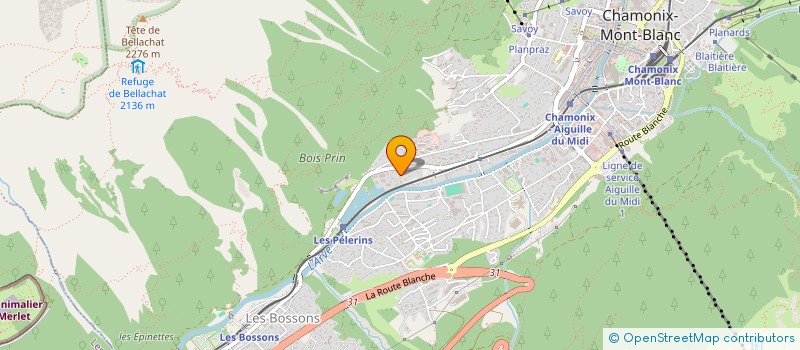 localisation de l'entreprise SOCIETE HOTELIERE DES EAUX VIVES  CHAMONIX MONT BLANC