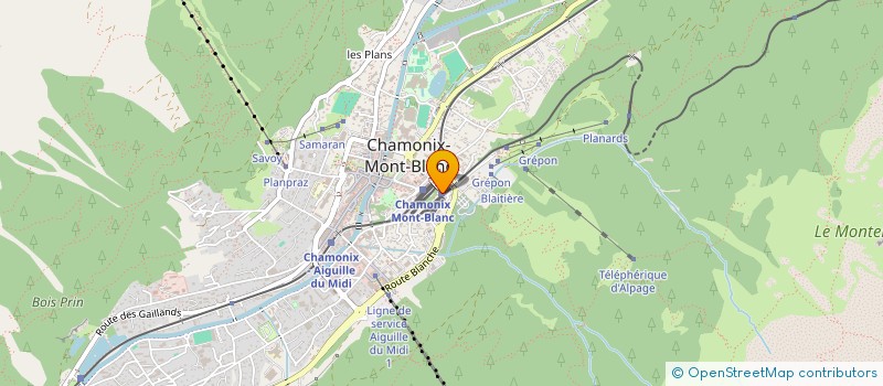 localisation de l'entreprise SOCIETE HOTELIERE DU MONTENVERS  CHAMONIX-MONT-BLANC