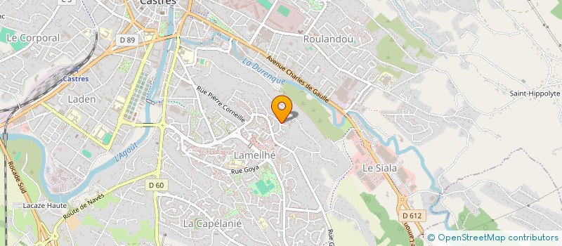 localisation de l'entreprise SOCIETE LES TERRASSES DU RAISIN  CASTRES