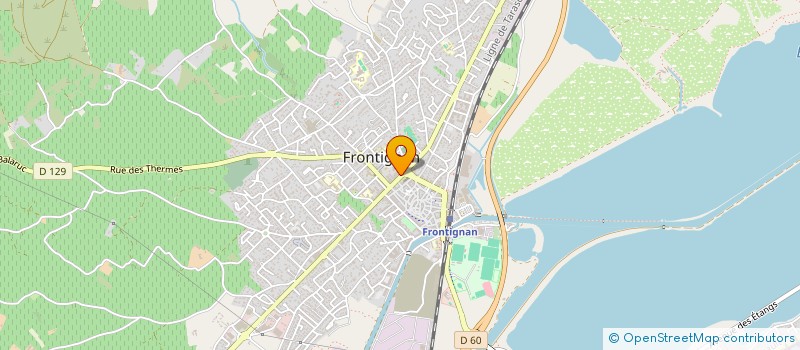 localisation de l'entreprise SOCIETE MAZOUT-SERVICE à FRONTIGNAN