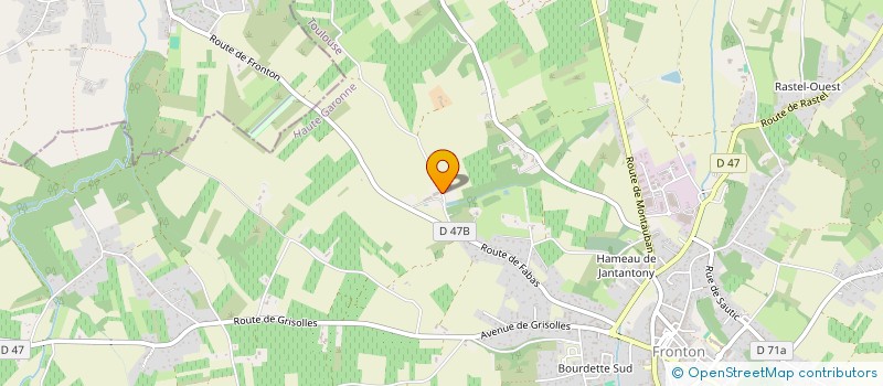 localisation de l'entreprise SOCIETE MONTALBANAISE D'AMENAGEMENT  FRONTON