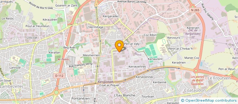 localisation de l'entreprise SOCIETE NOUVELLE ARC 3D à BREST