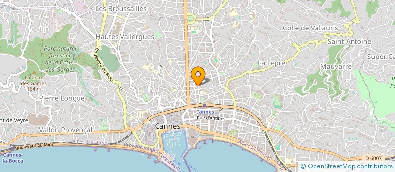 localisation de l'entreprise SOCIETE NOUVELLE DU BOIS FLEURI à CANNES