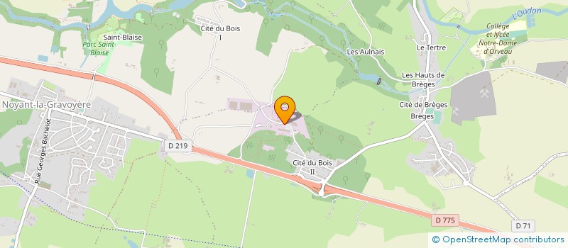 localisation de l'entreprise SOCIETE NYOISIENNE D'ELECTROLYSE à SEGRE-EN-ANJOU BLEU