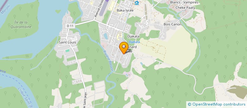localisation de l'entreprise SOCIETE PEPINIERE DU PLATEAU CASCADE à SAINT-LAURENT-DU-MARONI