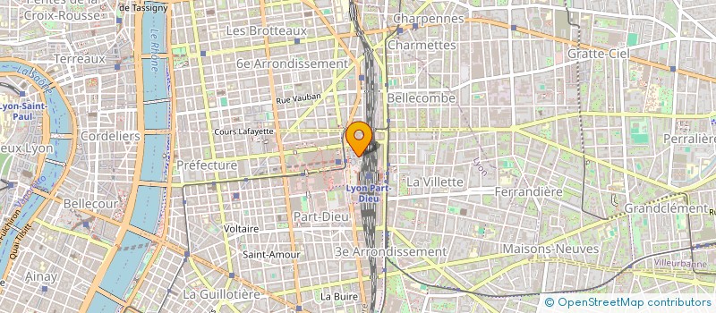 localisation de l'entreprise SOCIETE PUBLIQUE LOCALE RELATION USAGERS  LYON