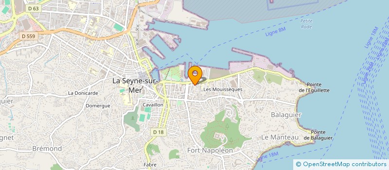 localisation de l'entreprise SOCIETE REGGIANI à LA SEYNE-SUR-MER