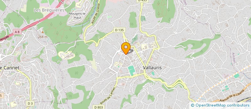 localisation de l'entreprise SOCIETE RIBAT à VALLAURIS