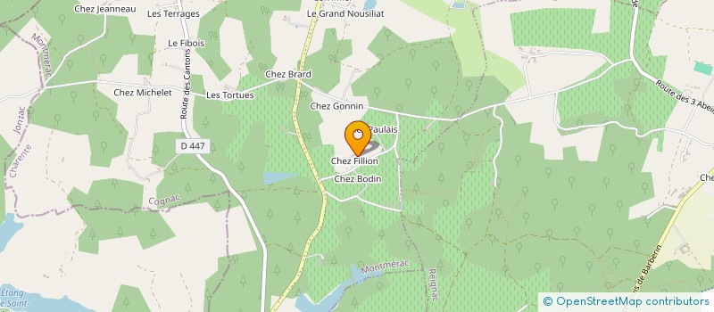 localisation de l'entreprise SOCIETE TRANSPORTS CHAIGNAUD - STC  SAINT-MEDARD