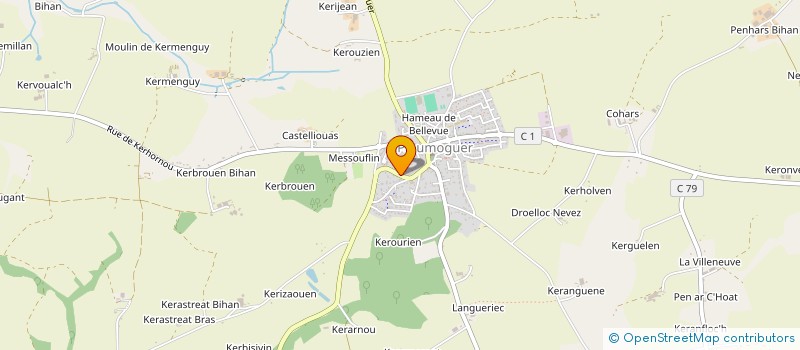 localisation de l'entreprise SOCIETE TRANSPORTS MENGUY à PLOUMOGUER