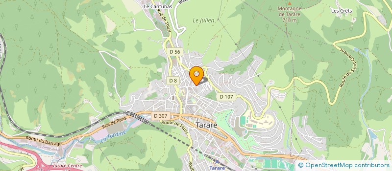 localisation de l'entreprise SOCIETE TURDINOISE DE TIR à TARARE